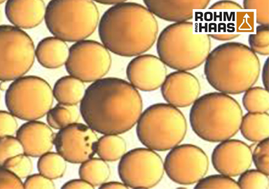 羅門(mén)哈斯 XAD16N大孔吸附樹(shù)脂